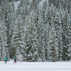 Winter Wellness Trip Snowshoe