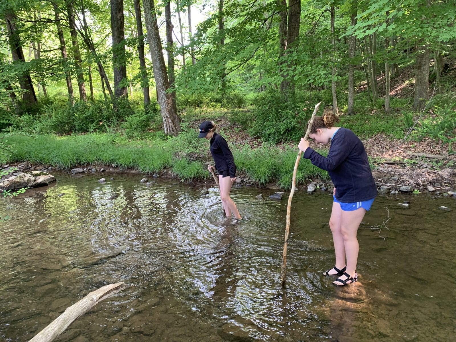 Warrior's Path to River Mountain - Appalachian Mountains Pennsylvania