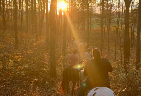 Horseback riding near River Mountain cabin rentals Pennsylvania
