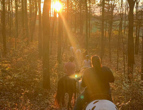 Horseback riding near River Mountain cabin rentals Pennsylvania