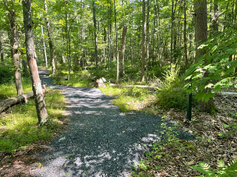 Point Pleasant Nature Trail - River Mountain