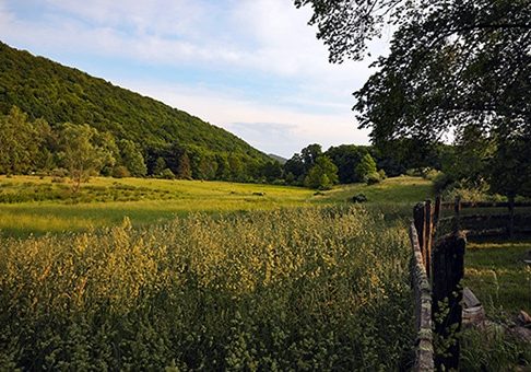 Sweet Root Creek Chesapeake Bay Watershed Conservation at River Mountain Youth Wellness Retreat