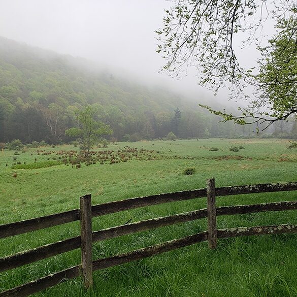 Calm at Black Valley