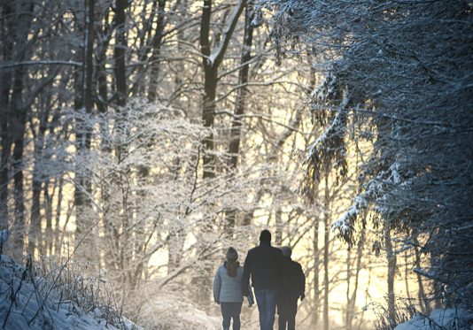 Mountain Explorations